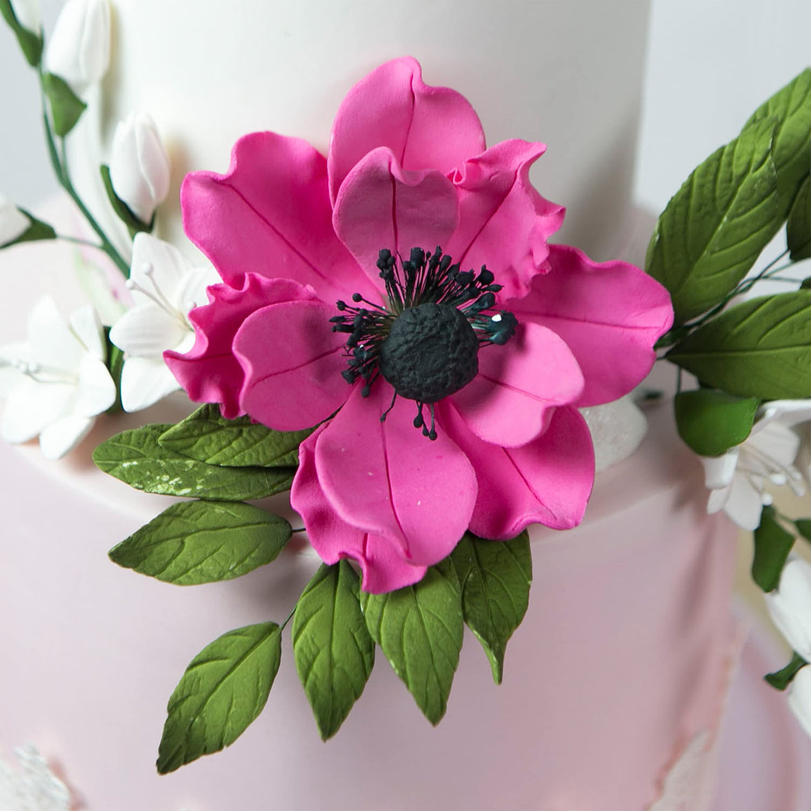 Global Sugar Art Sugar Hot Pink and Black Anemone by Chef Alan Tetreault, 3 Count