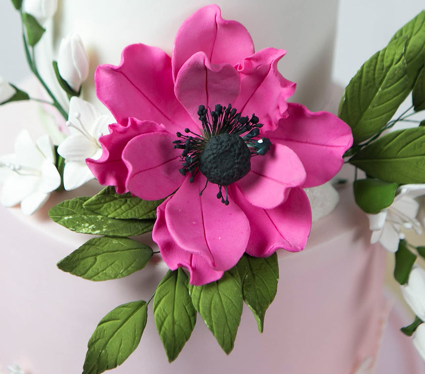 Global Sugar Art Sugar Hot Pink and Black Anemone by Chef Alan Tetreault, 3 Count
