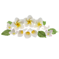 Tropical Flower Kit with Leaves, Gum Paste Frangipani Plumeria Cake Flowers, 36 Count Set, by Global Sugar Art