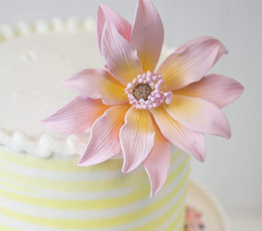 Tranquil Water Flowers, Decorative Sugar Cake Flowers by Global Sugar Art, 3 Count, Pink