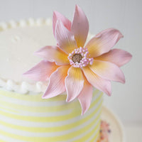 Tranquil Water Flowers, Decorative Sugar Cake Flowers by Global Sugar Art, 3 Count, Pink