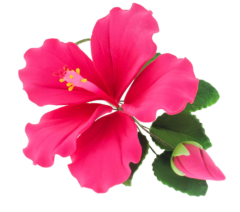 Tropical Hibiscus Sugar Cake Flower Spray by Global Sugar Art, Pink