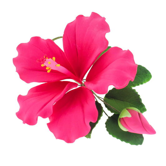 Pink Tropical Hibiscus with Leaves
