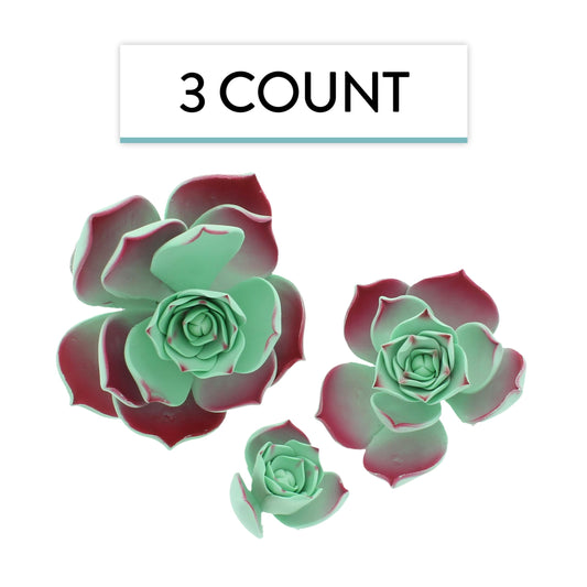 Taurus Succulent, Assorted Sizes, 3 Count
