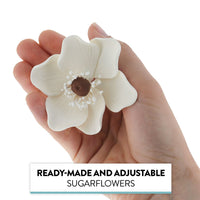 Global Sugar Art Sugar White and Brown Anemone by Chef Alan Tetreault, 4 Count