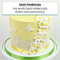 Edible Daisy Cake Decorations, White and Yellow Sugar Flowers, Unwired 1 Inch, Daisy Cupcake Toppers, Edible Flowers Cake Decorations by Chef Alan Tetreault, Global Sugar Art