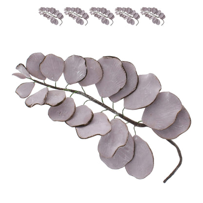 Muave Eucalyptus, 5 Count