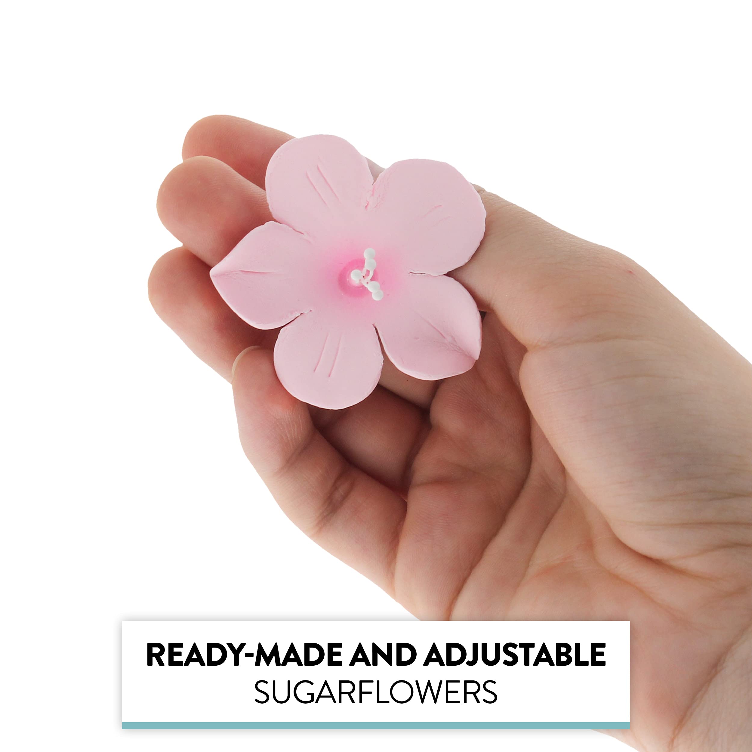 Global Sugar Art Fruit Blossom Sugar Cake Flowers by Chef Alan Tetreault