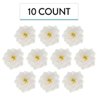 Azalea Sugar Flowers for Cake Decorating, by Global Sugar Art, White