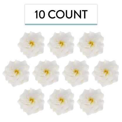 White Azaleas, Small, 10 Count