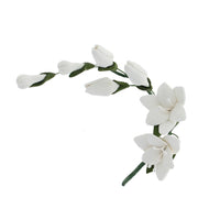 Freesia Sugar Cake Flower Filler Spray, by Global Sugar Art, White, 3 Count