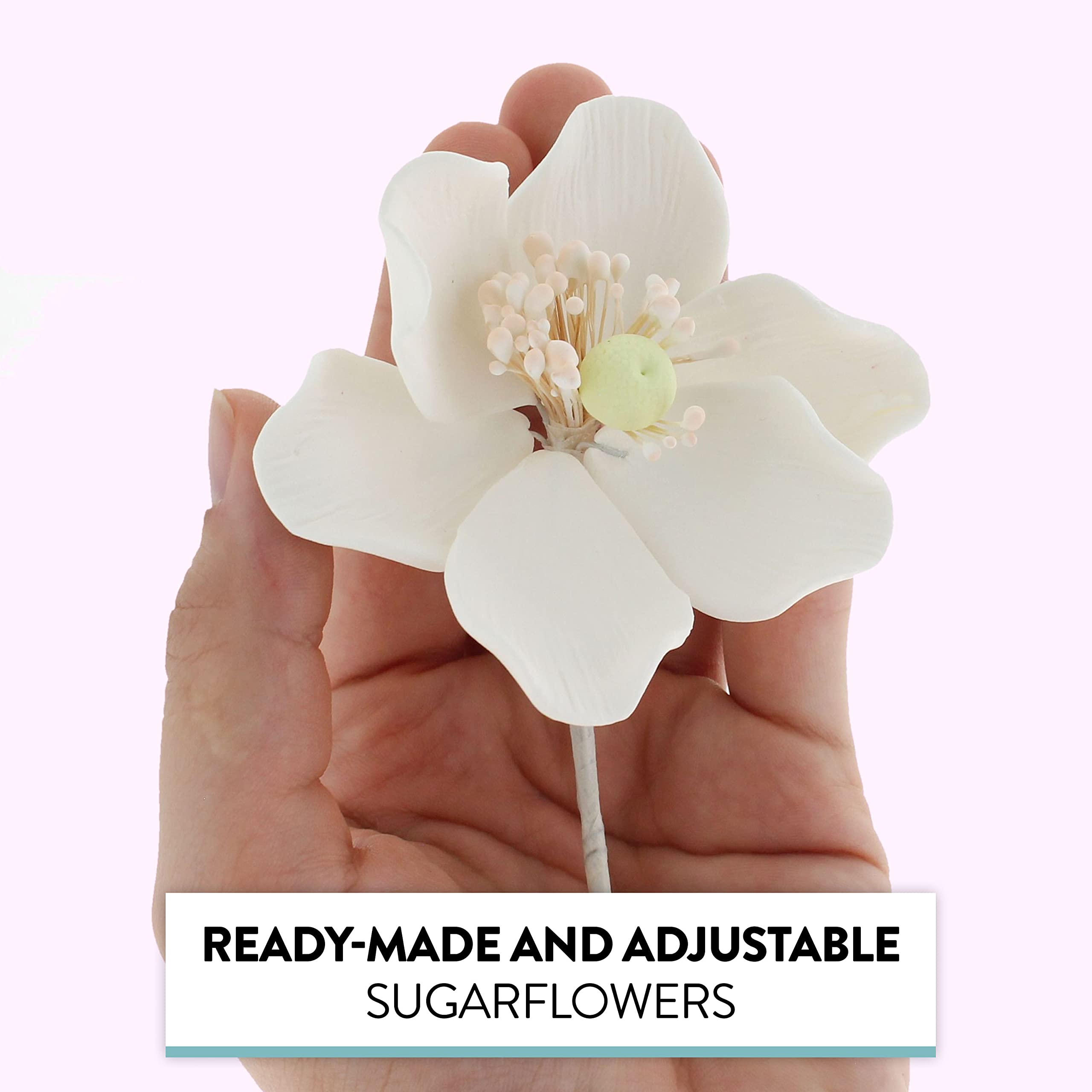 Global Sugar Art Sugar White and Green Anemone by Chef Alan Tetreault, 3 Count