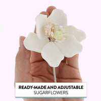 Global Sugar Art Sugar White and Green Anemone by Chef Alan Tetreault, 3 Count