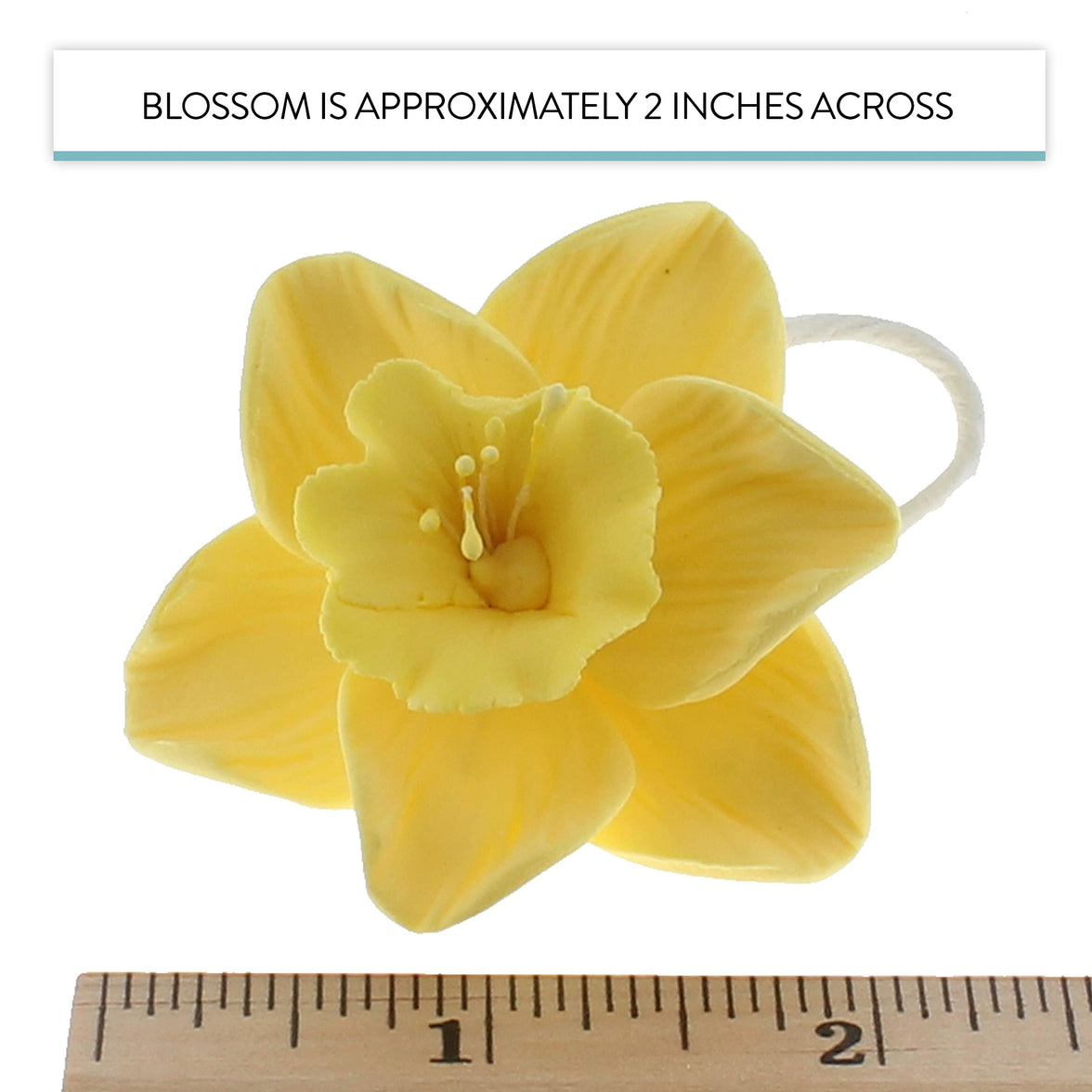 Daffodil Sugar Cake Flowers by Global Sugar Art, Yellow, 6 Count