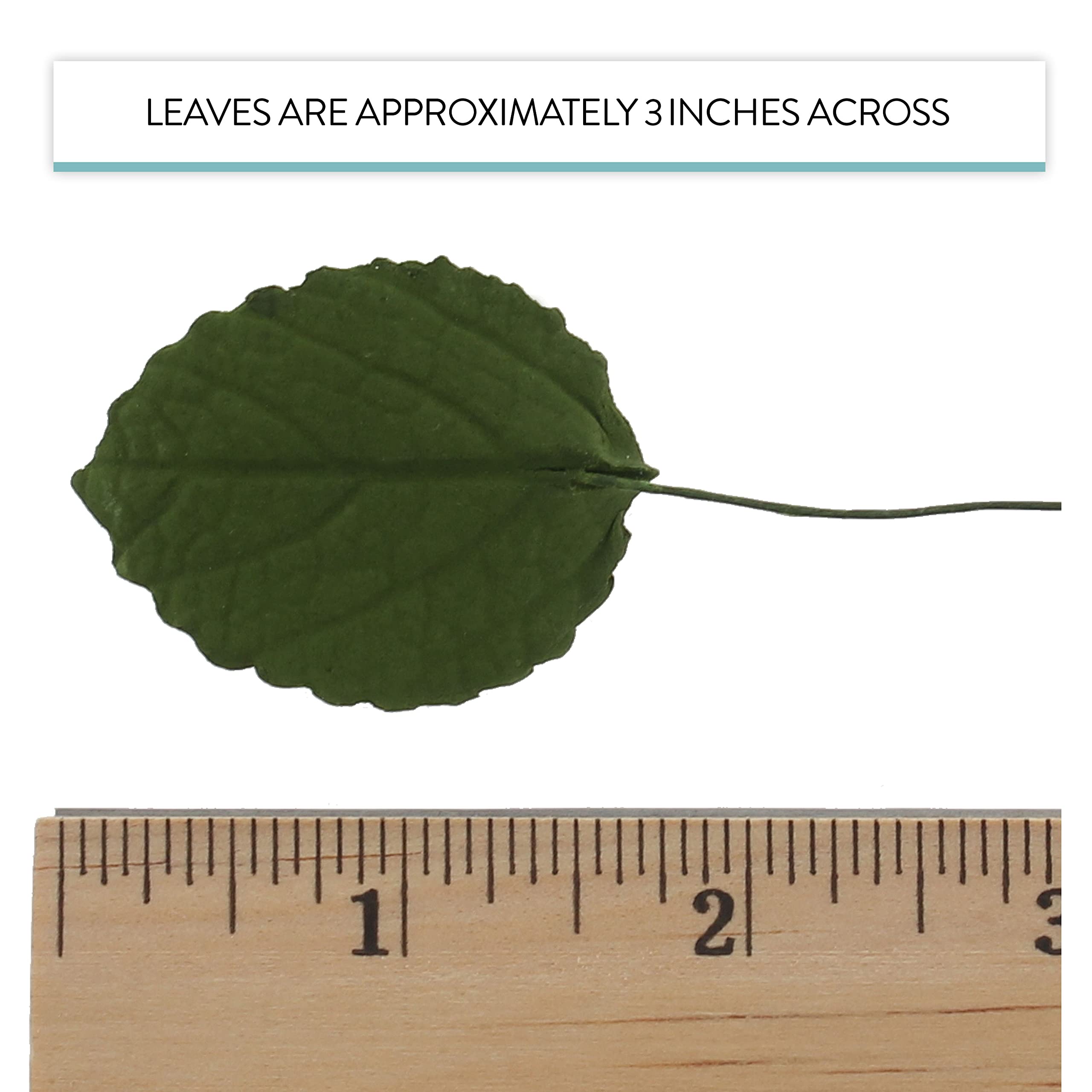 Hydrangea Leaves, Gum Paste Cake Decorations by Global Sugar Art, Green, Multiple Sizes