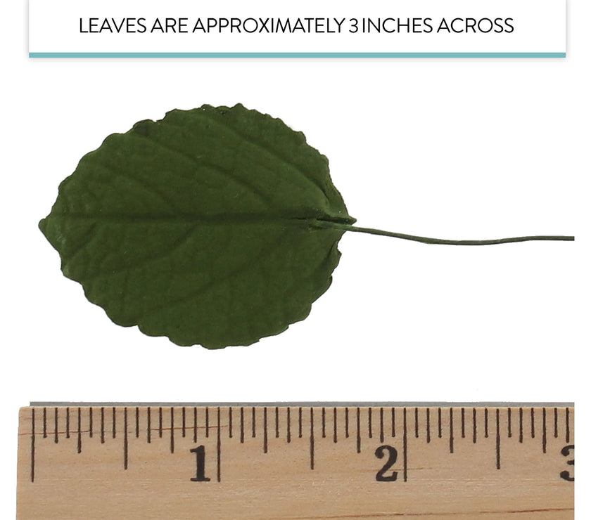 Hydrangea Leaves, Gum Paste Cake Decorations by Global Sugar Art, Green, Multiple Sizes