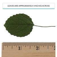 Hydrangea Leaves, Gum Paste Cake Decorations by Global Sugar Art, Green, Multiple Sizes