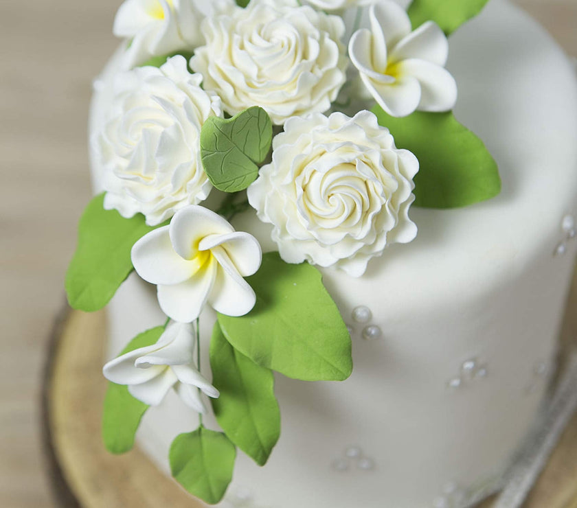 Light Green Gardenia Leaf Spray Cake Decoration by Chef Alan Tetreault, Global Sugar Art, 4 Count