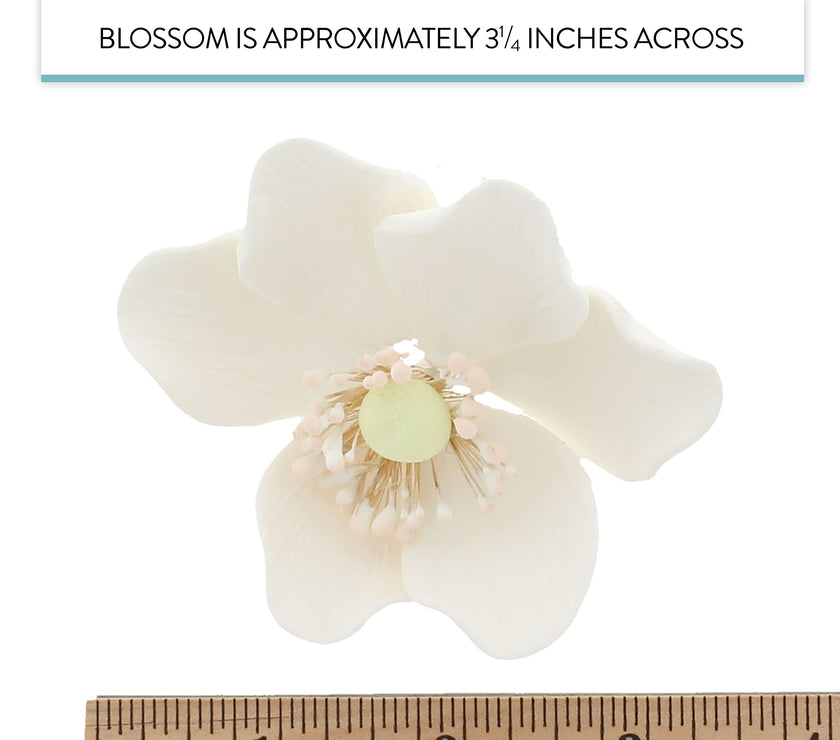 Global Sugar Art Sugar White and Green Anemone by Chef Alan Tetreault, 3 Count