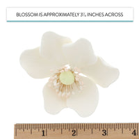 Global Sugar Art Sugar White and Green Anemone by Chef Alan Tetreault, 3 Count