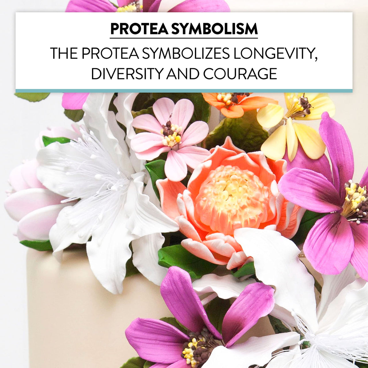 Protea Sugar Cake Flowers by Global Sugar Art, Large Tangerine, 1 Count