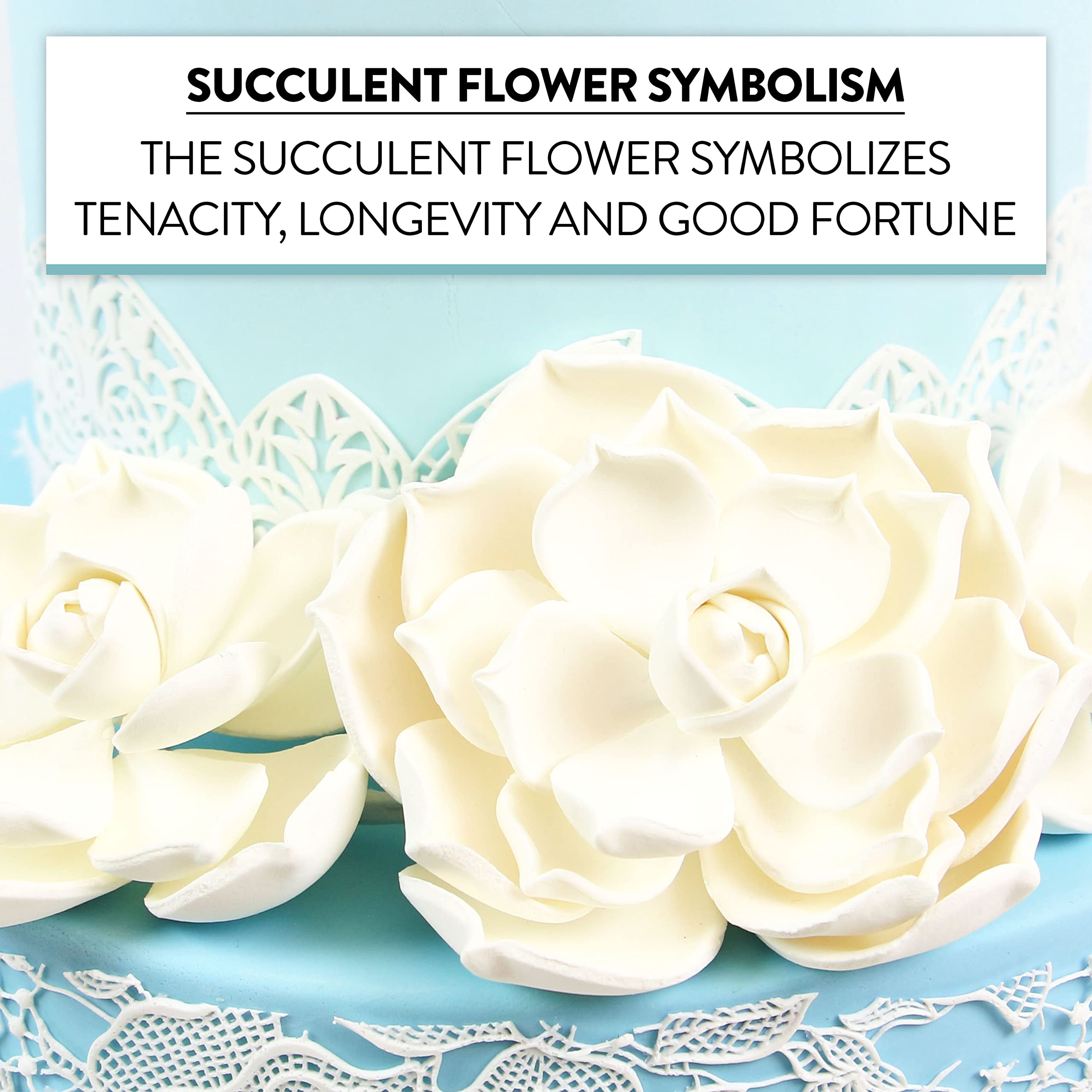 Global Sugar Art Succulent Parva Sugar Cake Flowers, White Assortment, 3 Count by Chef Alan Tetreault