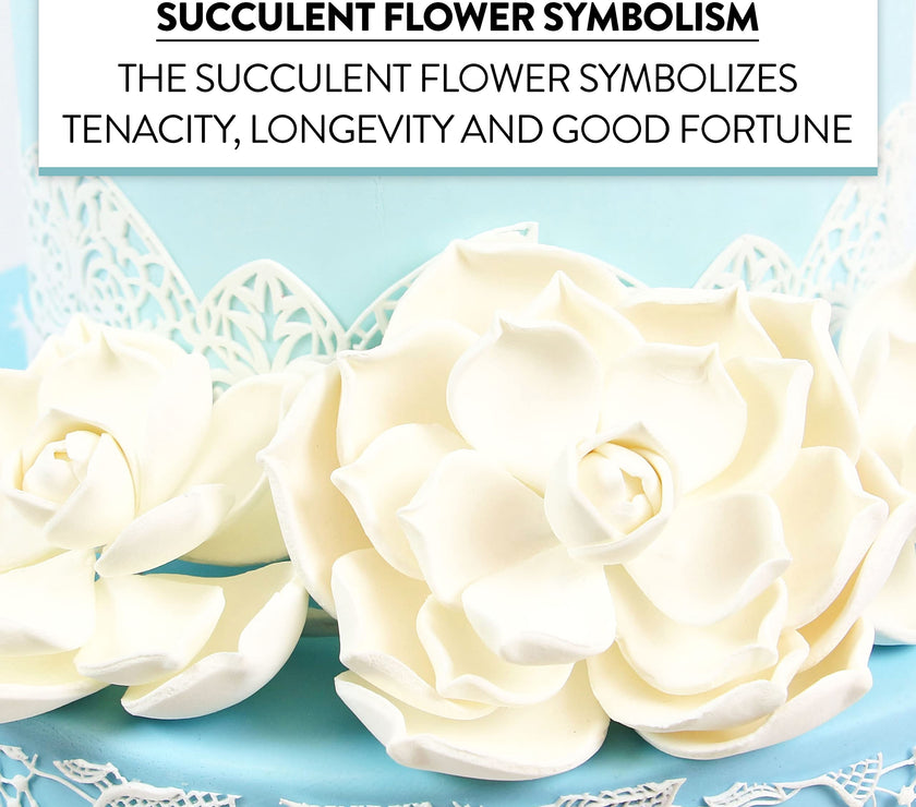 Global Sugar Art Succulent Parva Sugar Cake Flowers, White Assortment, 3 Count by Chef Alan Tetreault