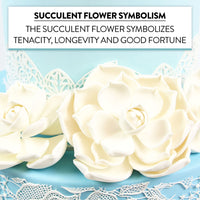 Global Sugar Art Succulent Parva Sugar Cake Flowers, White Assortment, 3 Count by Chef Alan Tetreault