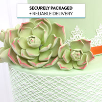 Global Sugar Art Succulent Parva Large Cake Flower with Wire, 1 Count by Chef Alan Tetreault