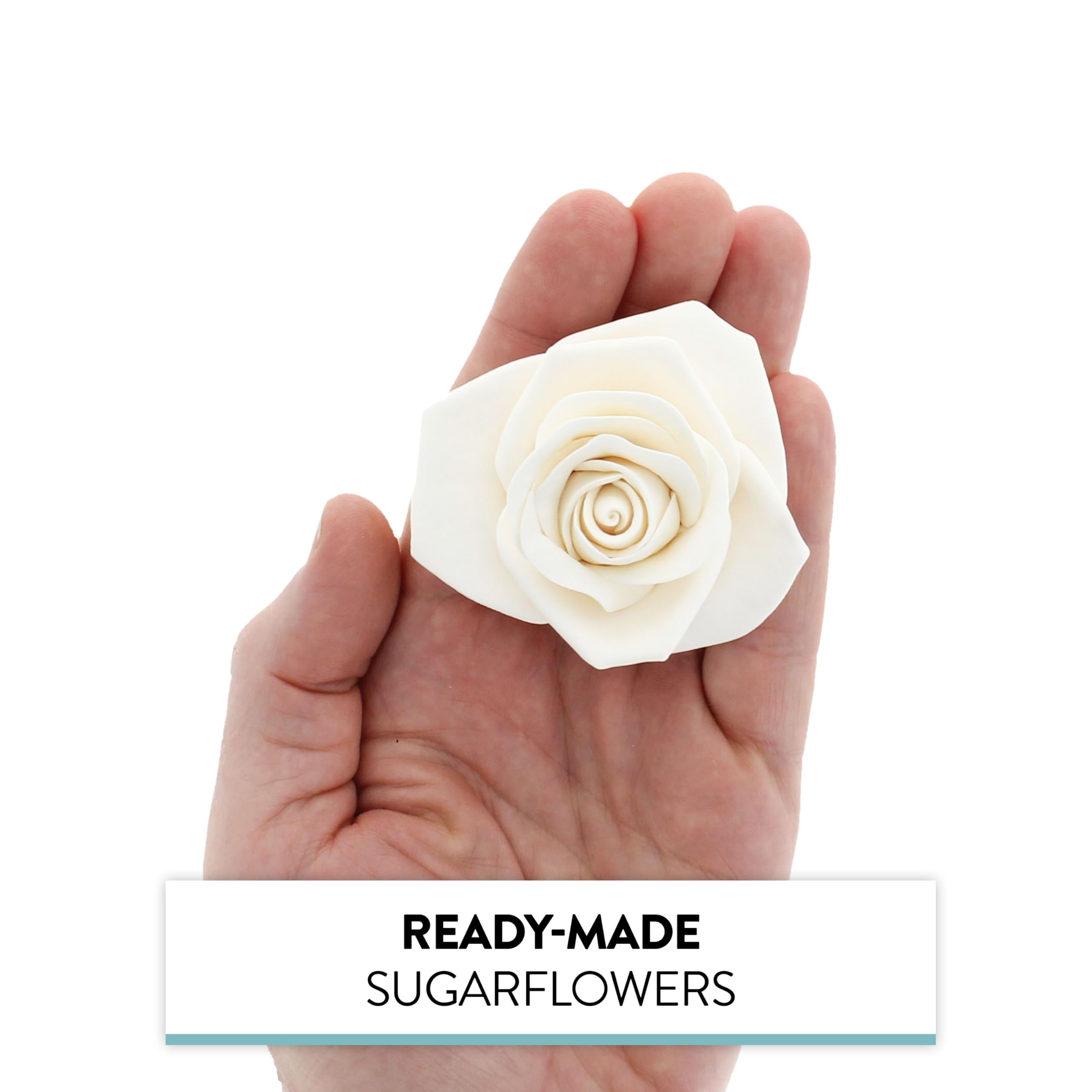 Peace Rose Sugar Flowers for Cake Decorating, by Global Sugar Art, Large, White