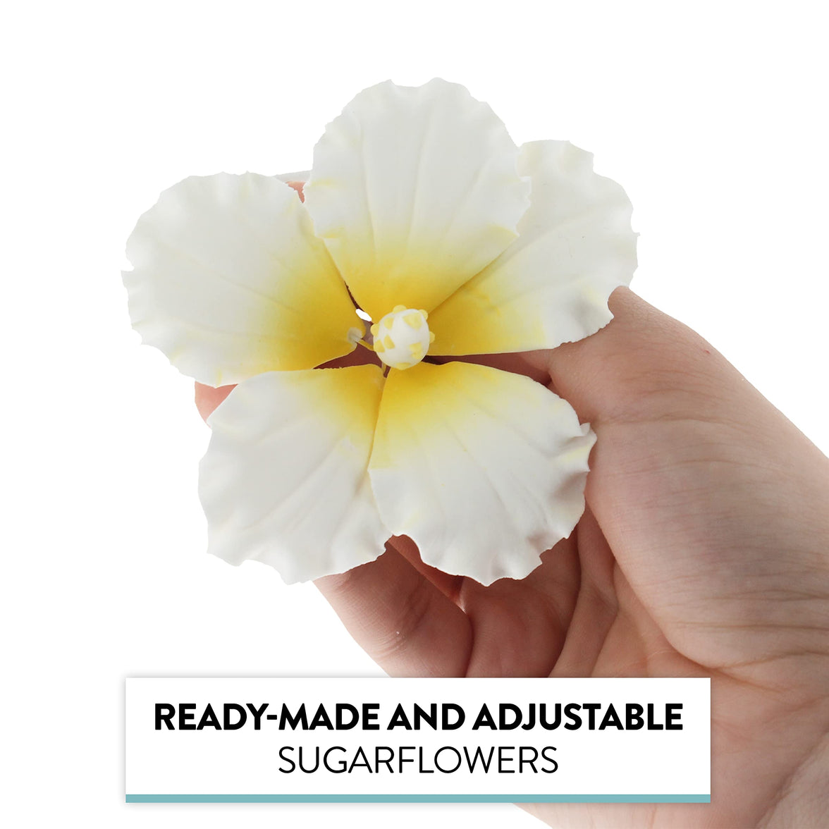 Hibiscus Sugar Cake Flowers, White and Yellow Tropical Sugar Flowers, by Global Sugar Art