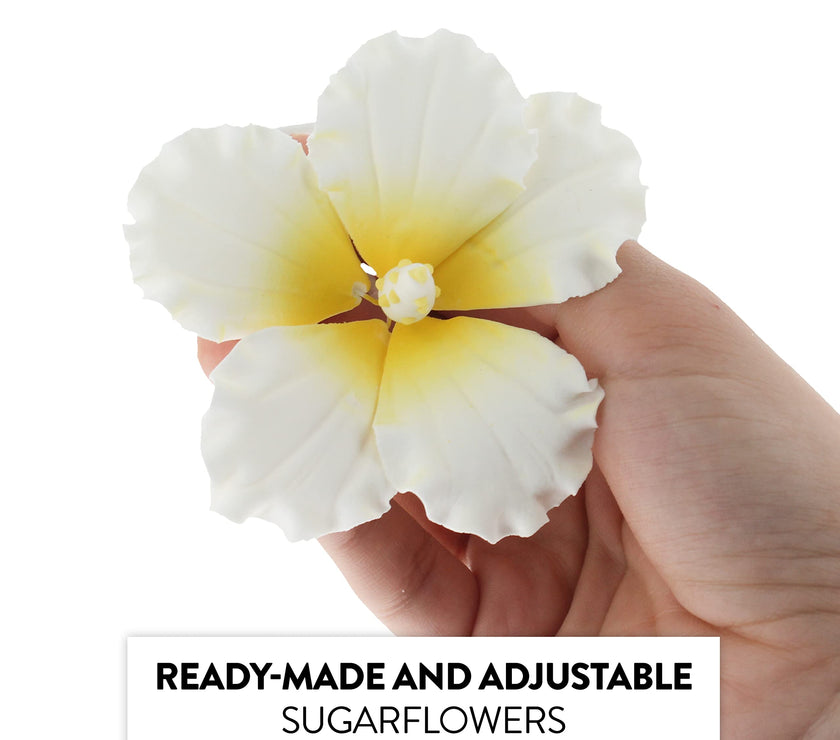 Hibiscus Sugar Cake Flowers, White and Yellow Tropical Sugar Flowers, by Global Sugar Art