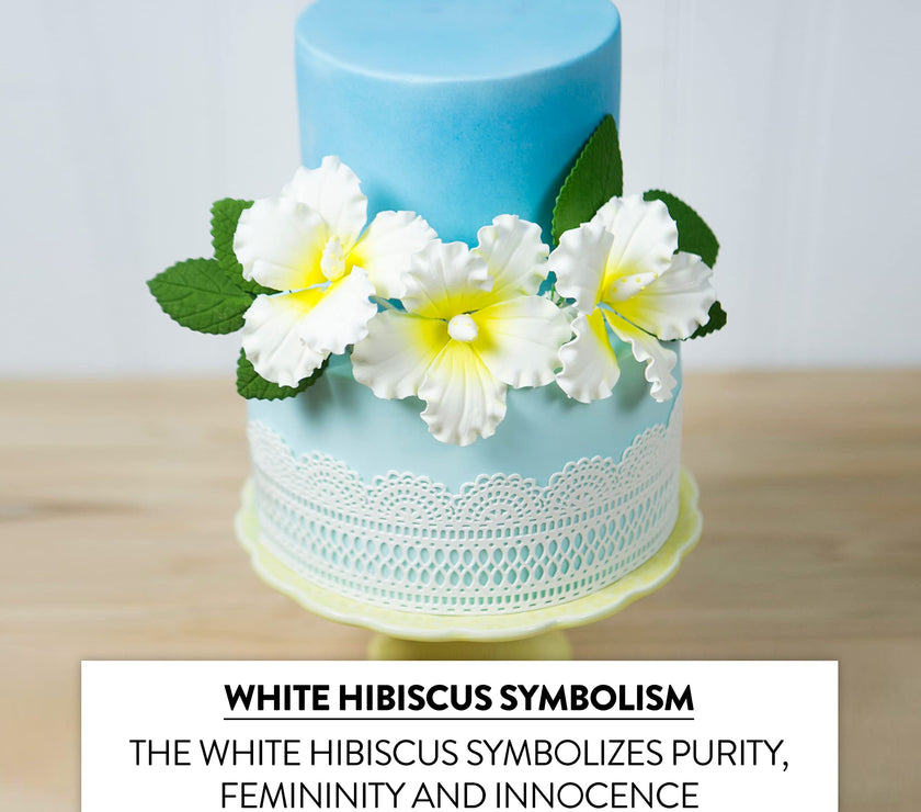 Hibiscus Sugar Cake Flowers, White and Yellow Tropical Sugar Flowers, by Global Sugar Art