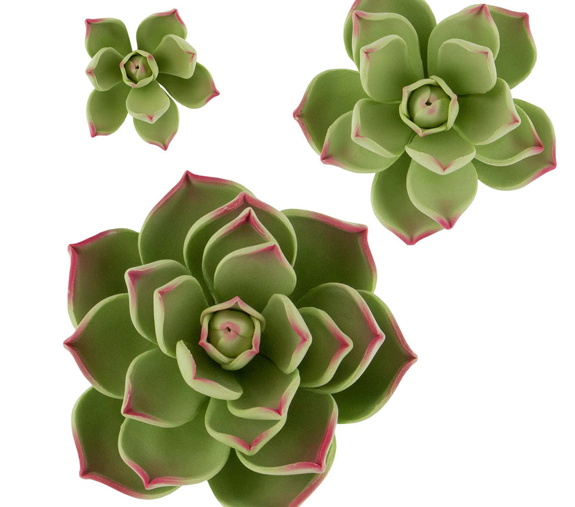 Global Sugart Art Succulents Parva Assortment Sugar Cake Flowers, 3 Count by Chef Alan Tetreault