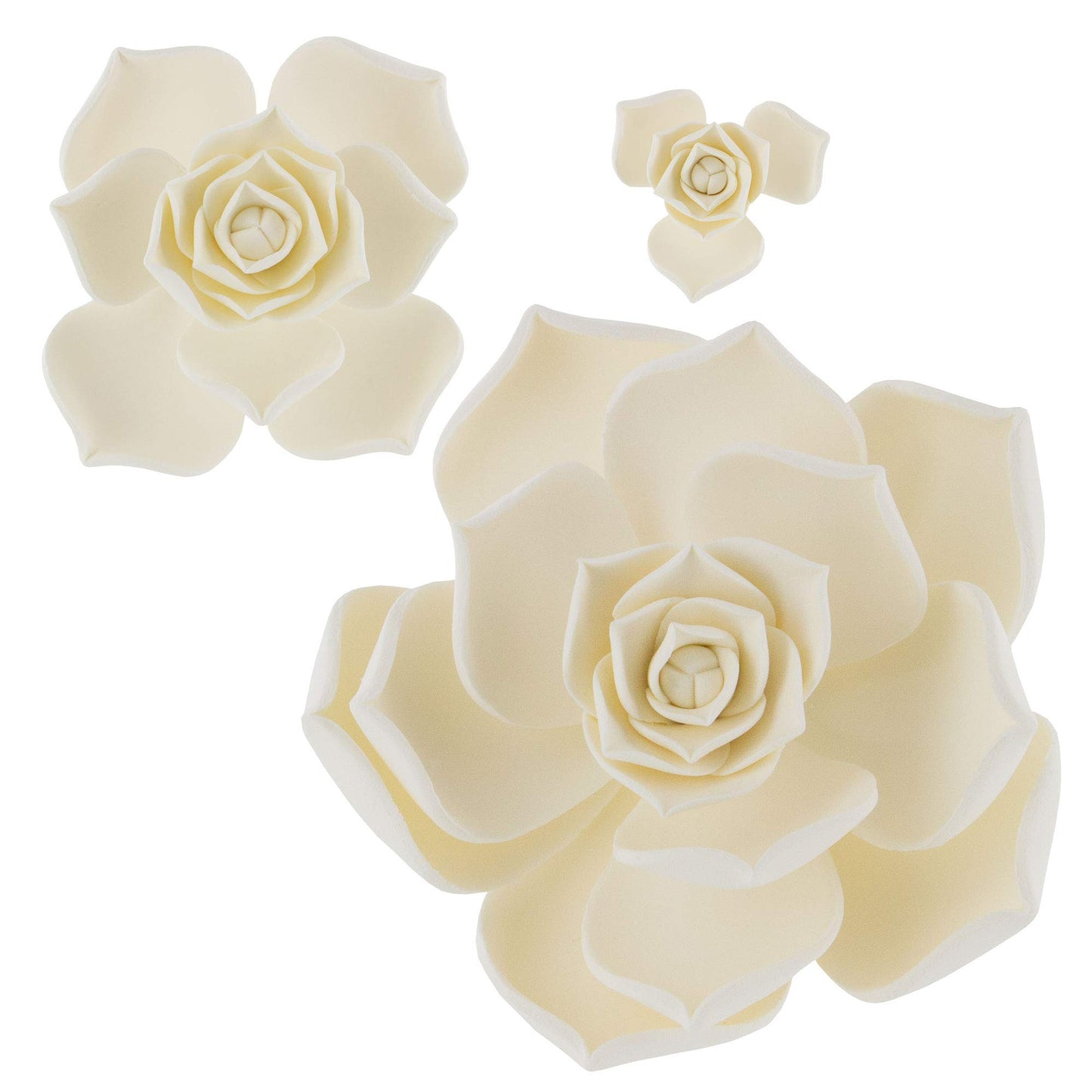 White Taurus Succulent, Assorted Sizes, 3 Count