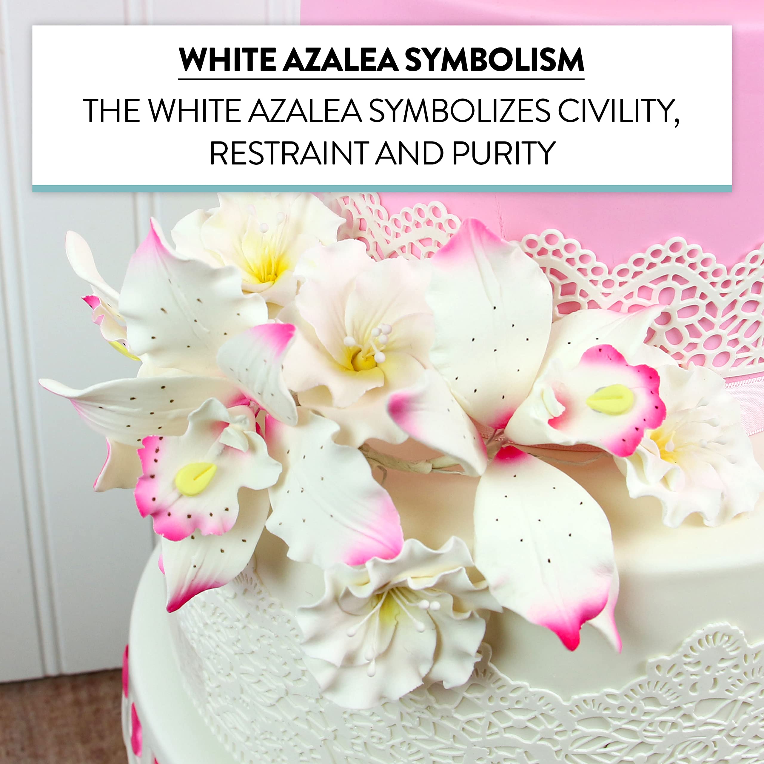 Azalea Sugar Flowers for Cake Decorating, by Global Sugar Art, White