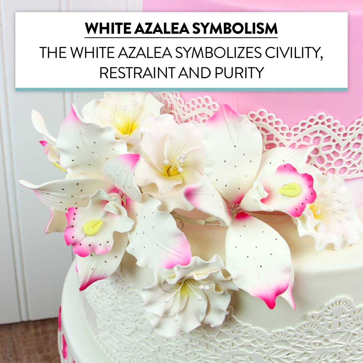 Azalea Sugar Flowers for Cake Decorating, by Global Sugar Art, White