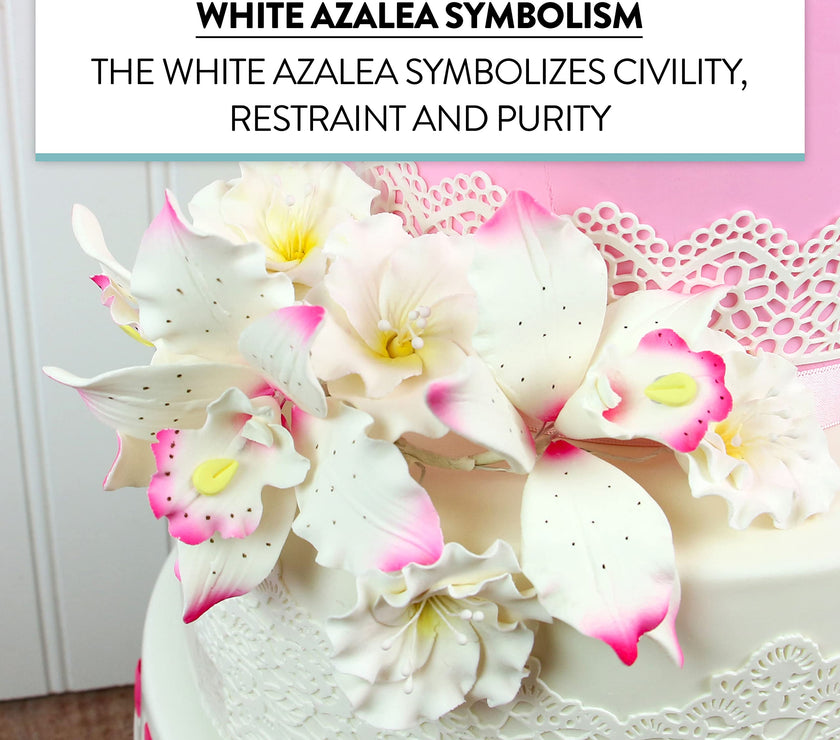 Azalea Sugar Flowers for Cake Decorating, by Global Sugar Art, White
