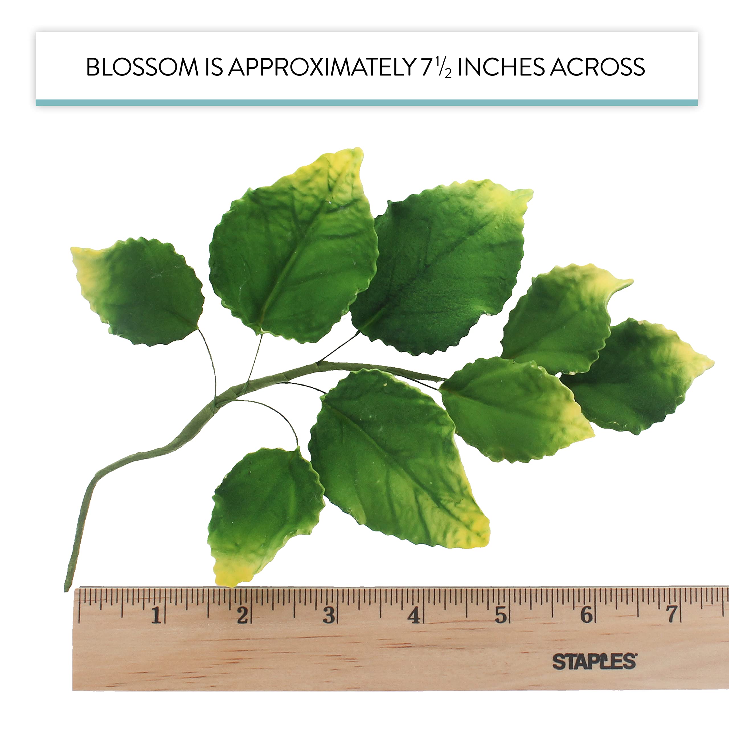 Rose Leaf Spray, Sugar Cake Flower Leaves by Global Sugar Art, Green Faded Tips