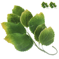 Rose Leaf Spray, Sugar Cake Flower Leaves by Global Sugar Art, Green Faded Tips
