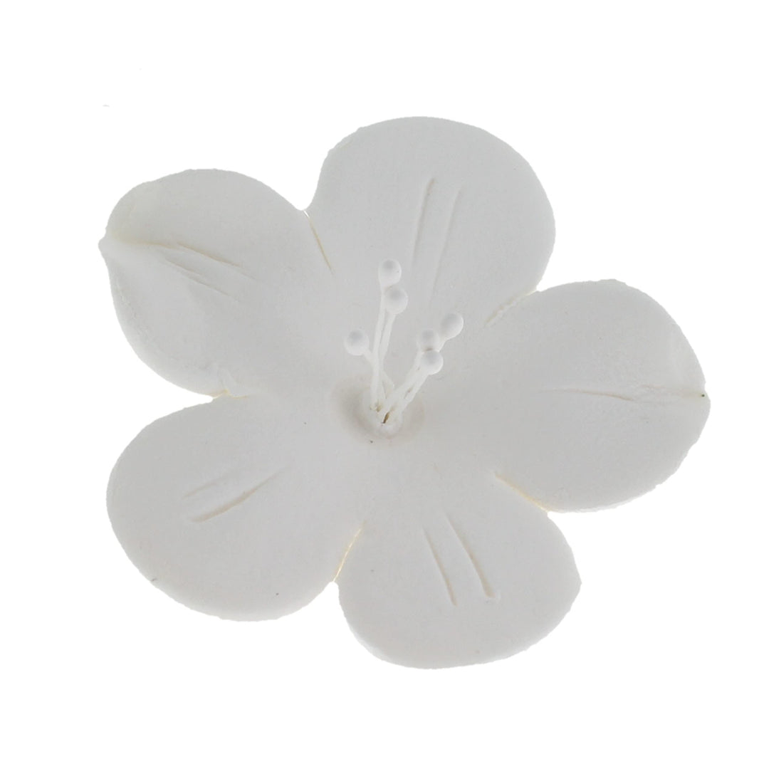 Global Sugar Art Fruit Blossom Sugar Cake Flowers by Chef Alan Tetreault