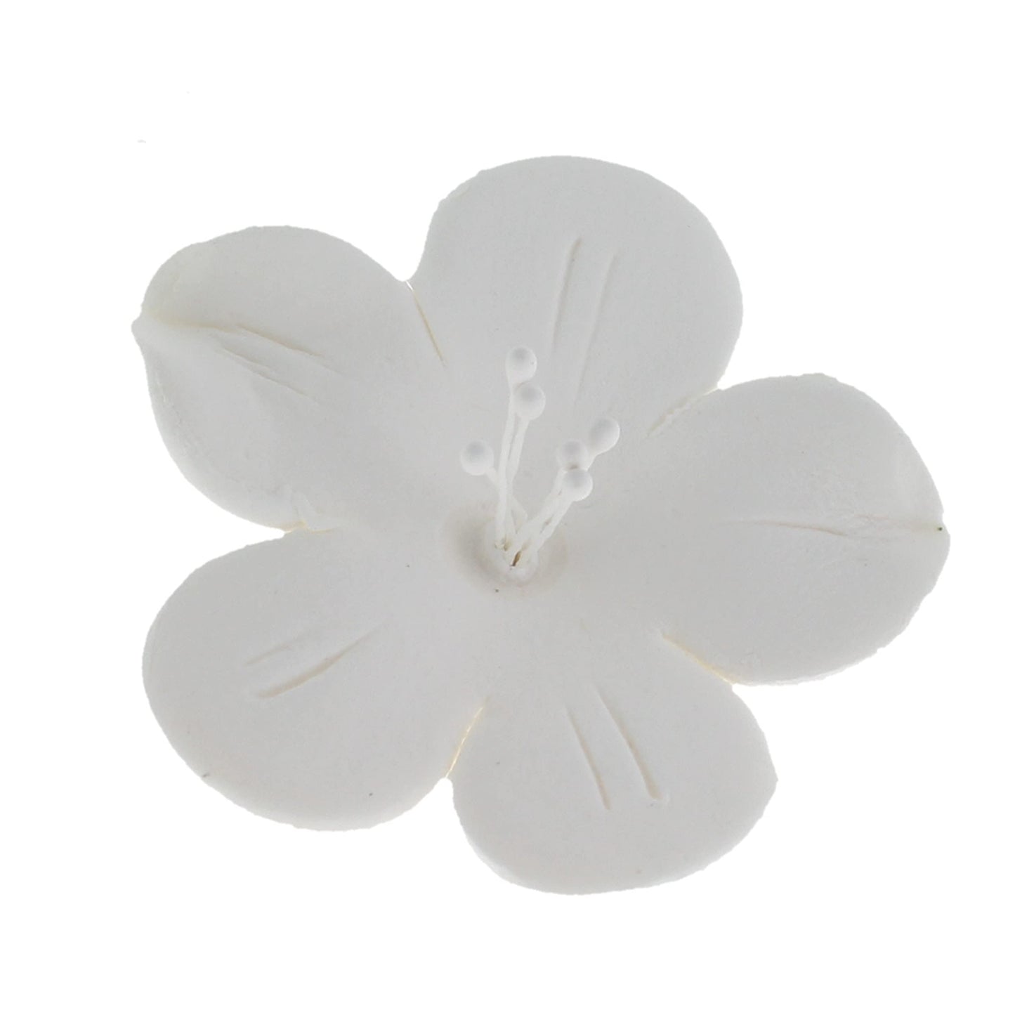 Fruit Blossoms, Assorted Colors