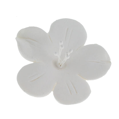 Fruit Blossoms, Assorted Colors