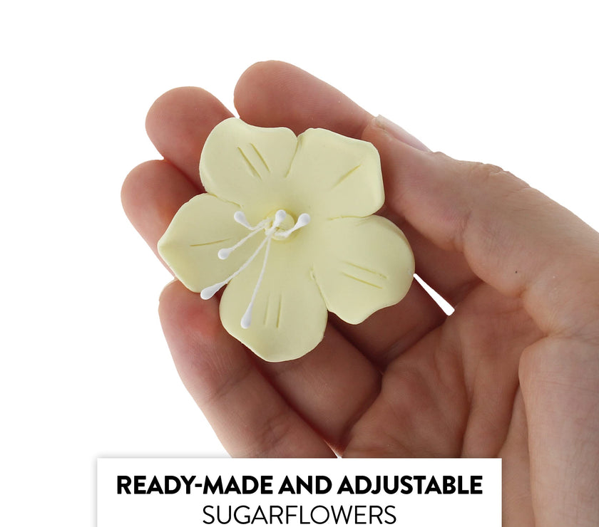 Global Sugar Art Fruit Blossom Sugar Cake Flowers by Chef Alan Tetreault