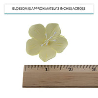 Global Sugar Art Fruit Blossom Sugar Cake Flowers by Chef Alan Tetreault