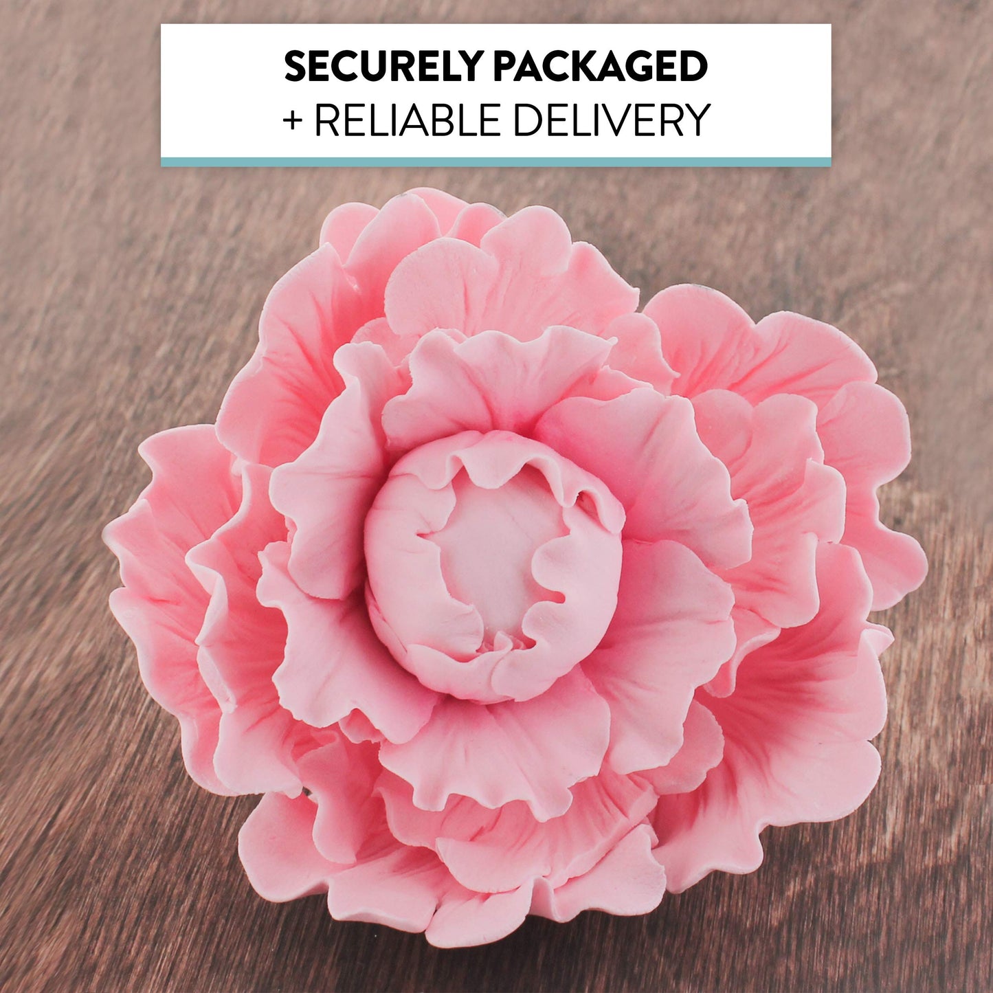 Pink Peony, Closed, Jumbo Bloom