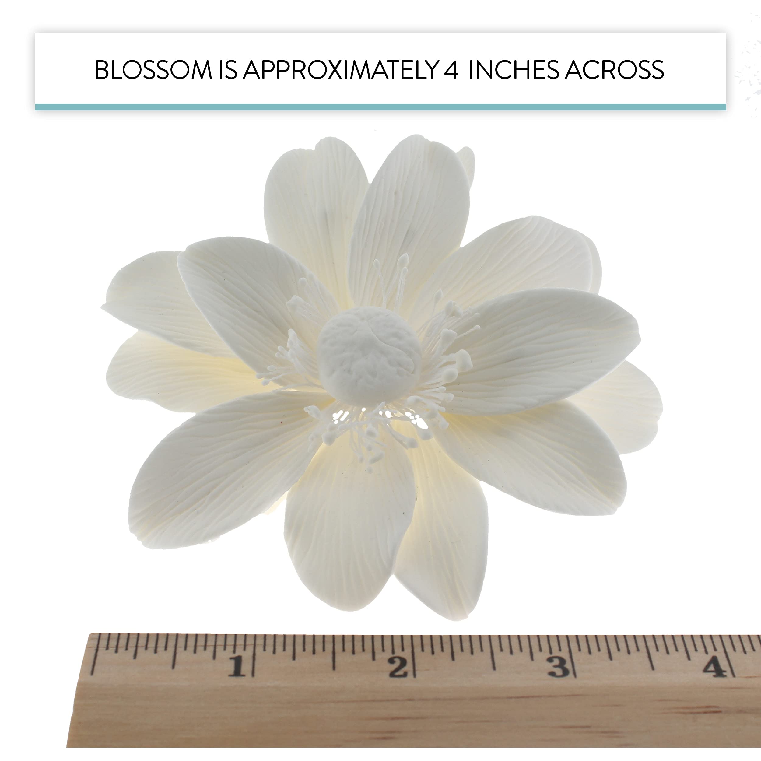 Global Sugar Art Sugar All White Anemone by Chef Alan Tetreault, 3 Count