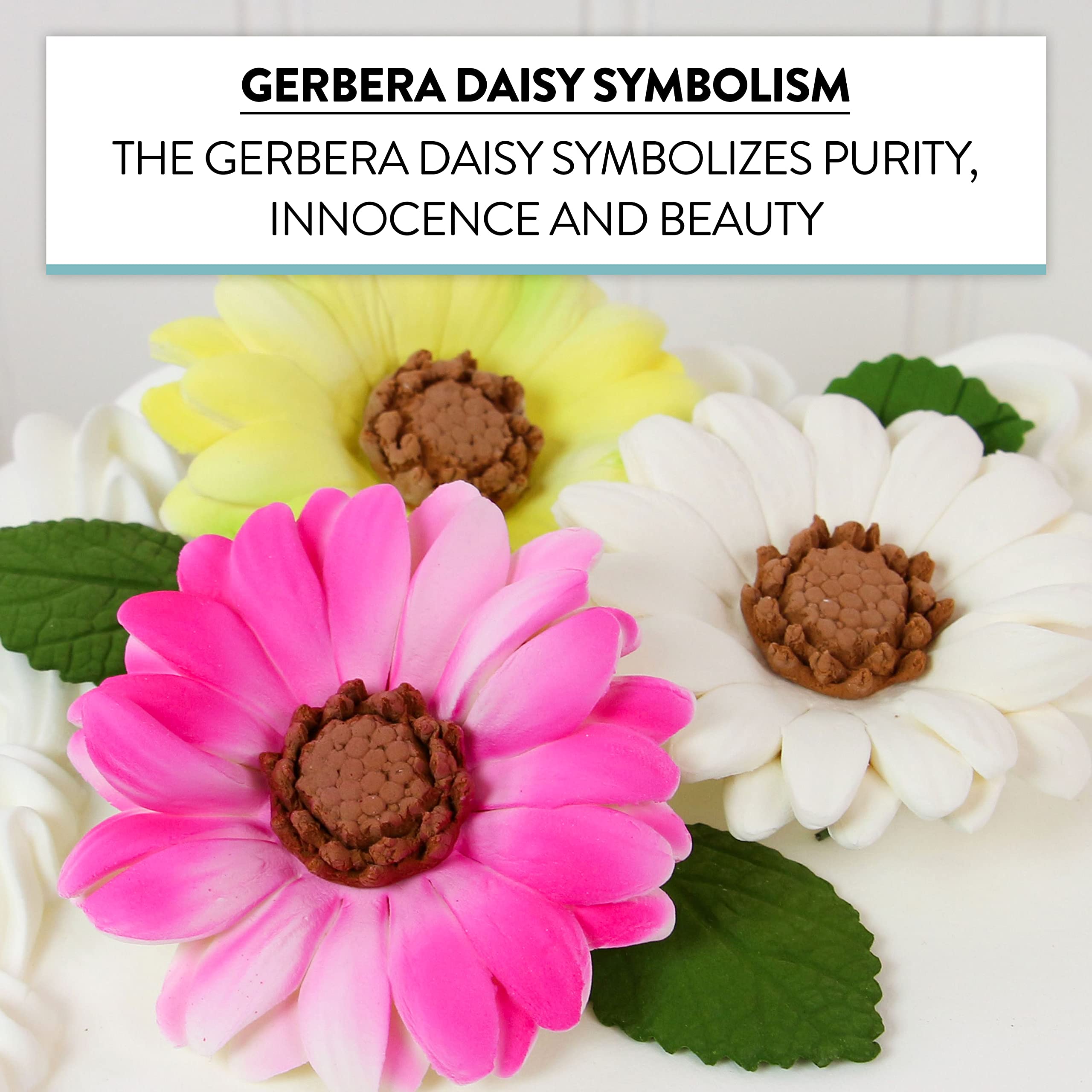 Global Sugar Art Summer Gerbera Daisy Sugar Cake Flowers Mixed Colors, 9 Count by Chef Alan Tetreault