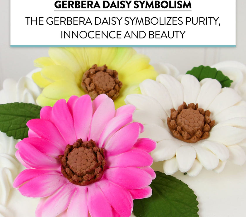 Global Sugar Art Summer Gerbera Daisy Sugar Cake Flowers Mixed Colors, 9 Count by Chef Alan Tetreault