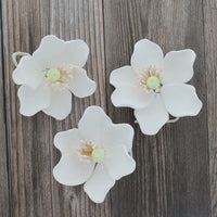 Global Sugar Art Sugar White and Green Anemone by Chef Alan Tetreault, 3 Count